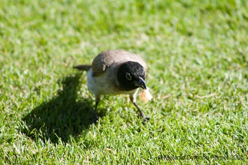 IMG_8689a