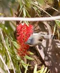 IMG_8657a
