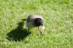 IMG_8689a