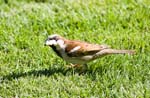 IMG_8695a