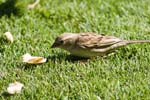 IMG_8702a