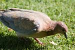 IMG_8707a