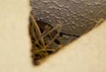 IMG_8717a