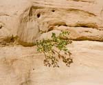 IMG_9415b