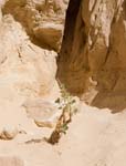 IMG_9435b