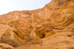 IMG_9506b