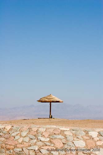 IMG_8675b