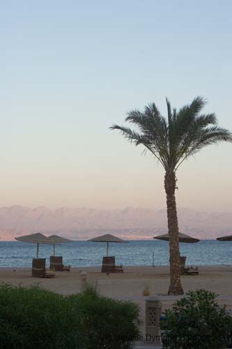 IMG_8737b