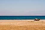 IMG_8642b