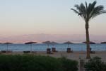 IMG_8736b
