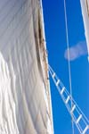 IMG_9011b