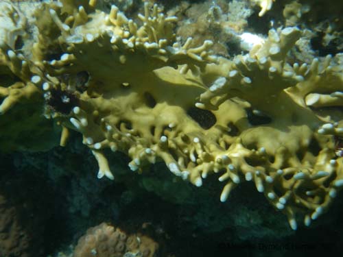 IMGP0090b