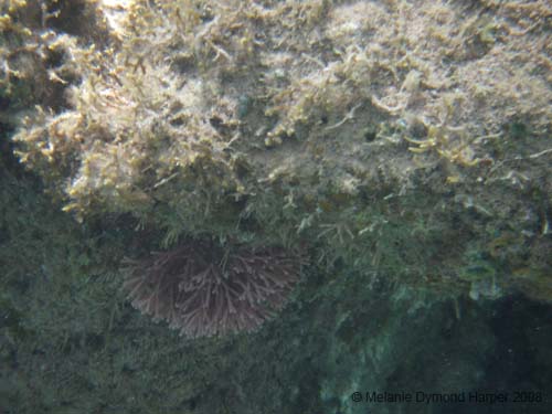 IMGP0204b