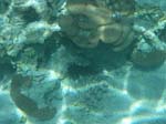 IMGP0095b