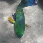 IMGP0406b