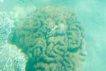 IMG_8777b