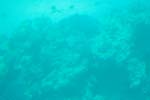 IMG_8782b