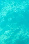 IMG_8783b