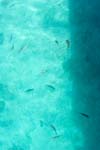 IMG_8995b